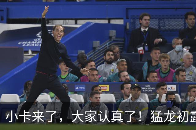 小卡来了，大家认真了！猛龙初露锋芒，三大数据印证东部霸主崛起